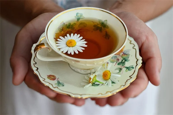 ADHD and IBS Connection: What New Research Reveals About Gut Health