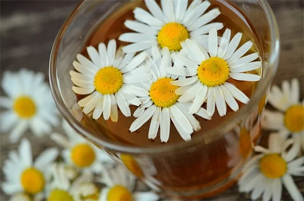 Sugary Drinks vs. Occasional Treats: The Heart Health Truth Revealed